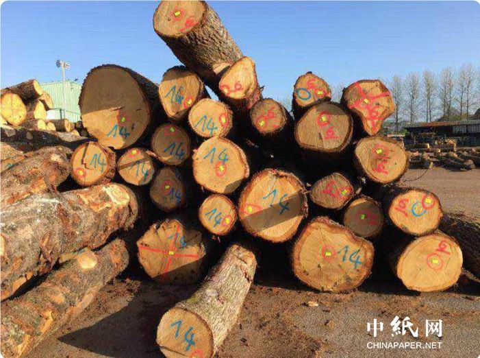 168体育 168体育平台担心中国报复 欧盟暂不限制橡木原木出口(图1) 168体育 168体育平台担心中国报复 欧盟暂不限制橡木原木出口(图1)
