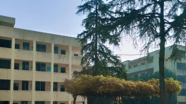 168体育 168体育直播 平台四川乐山市这四所重点高中教学设备先进学校环境宜人(图2) 168体育 168体育直播 平台四川乐山市这四所重点高中教学设备先进学校环境宜人(图2)