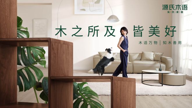 @最近想装修的你来看看新桥这些家168体育居企业还有优惠哦(图3) @最近想装修的你来看看新桥这些家168体育居企业还有优惠哦(图3)