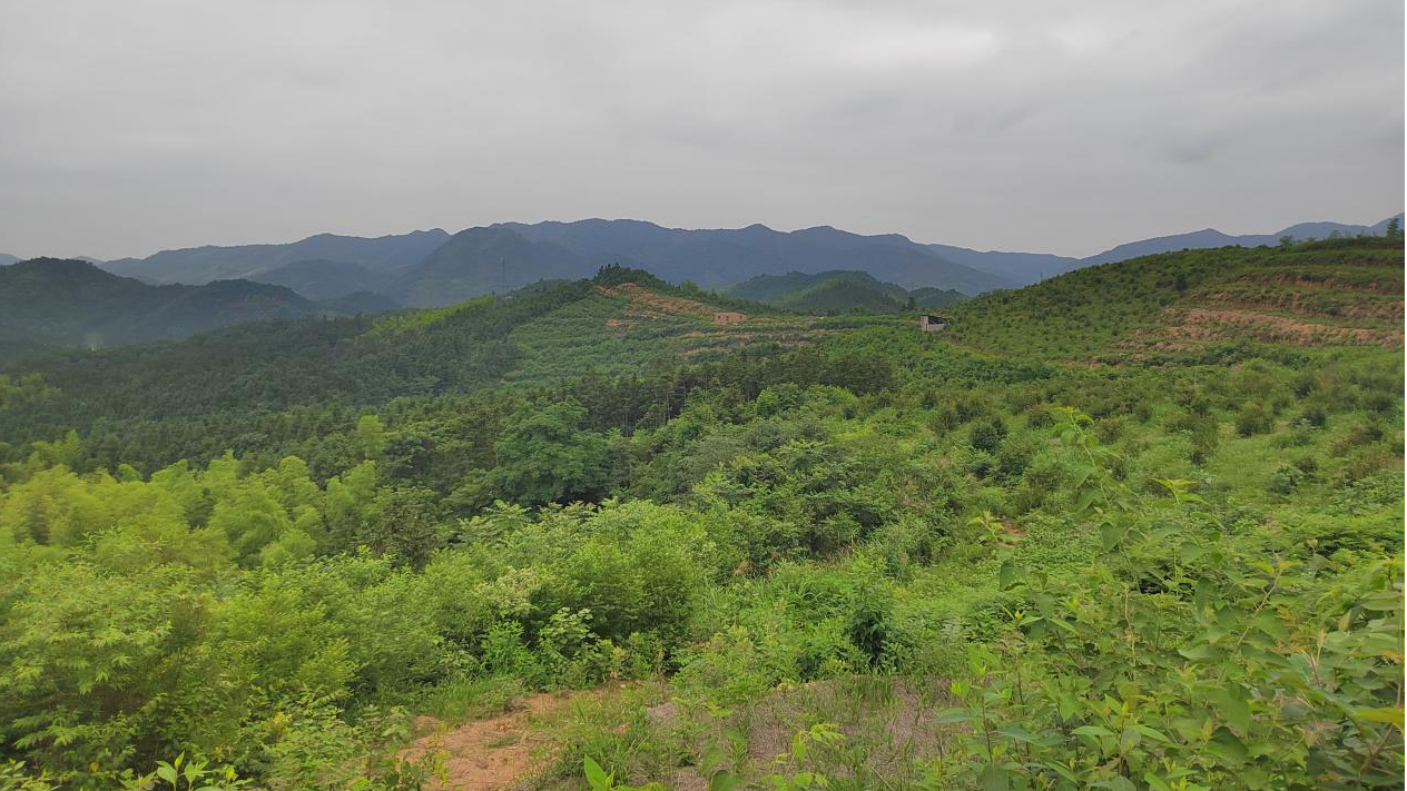 湖南衡阳县:山里来了“168体育乡村振兴特派员”(图1) 湖南衡阳县:山里来了“168体育乡村振兴特派员”(图1)