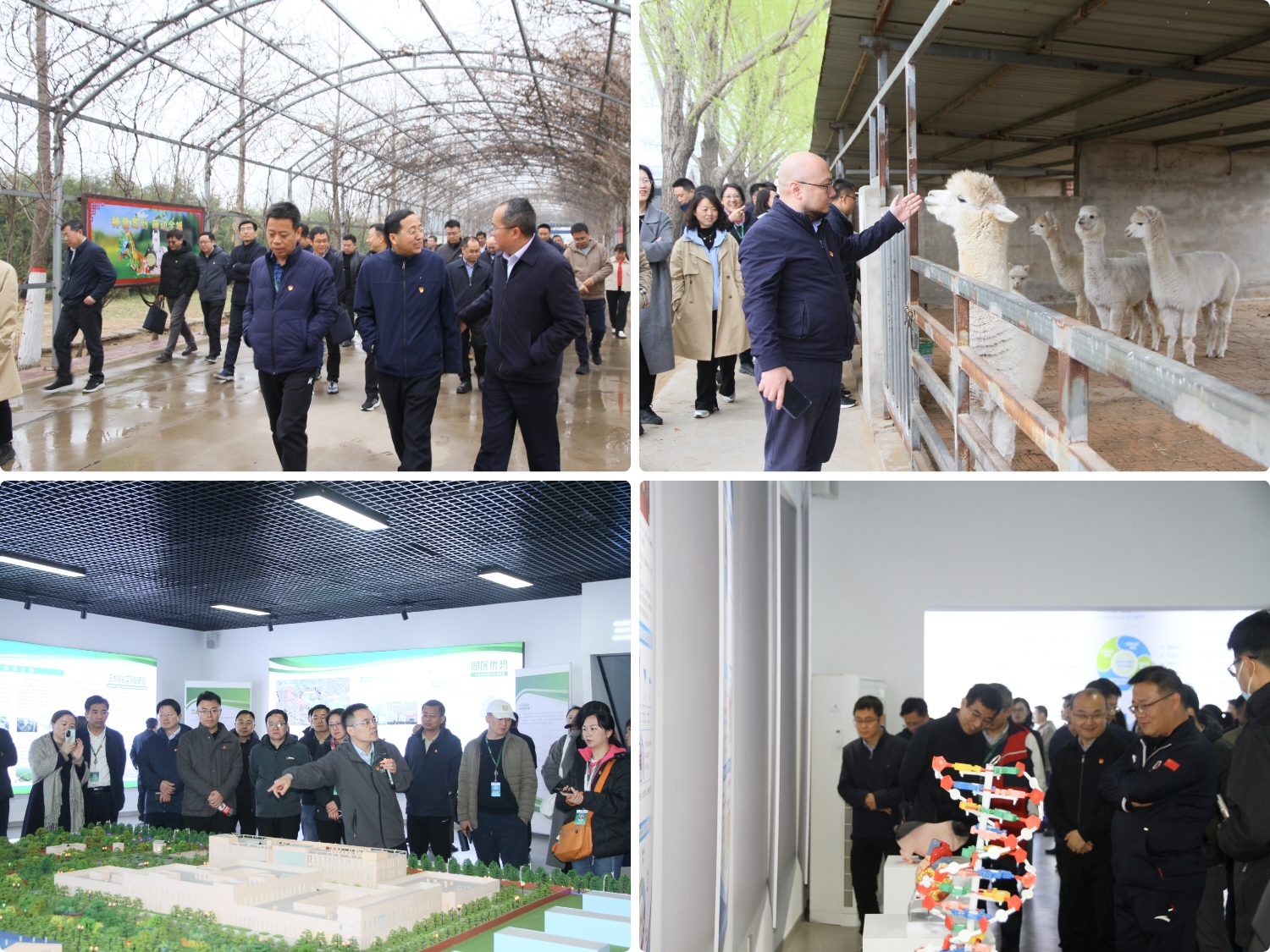 168体育国家教育行政学院第71期中青班到涿州教学实验场调研交流 开展党支部主题活动(图1) 168体育国家教育行政学院第71期中青班到涿州教学实验场调研交流 开展党支部主题活动(图1)